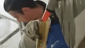 Video: uitleg van de waterpas