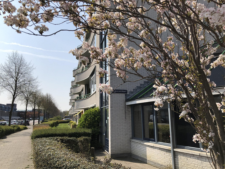 Bewonersbegeleiding Marepoort Alkmaar